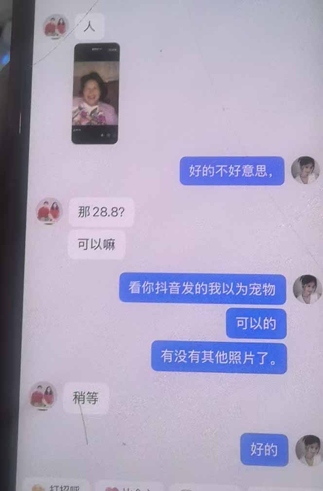 图片[4]-思念亲人AI视频教程：亲人复活+人物替换技术，条条几万赞爆款作品制作-副业网