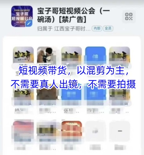 宝子哥头部团队短视频带货，以混剪为主，不需要真人出镜，不需要拍摄【更新12月】-副业网