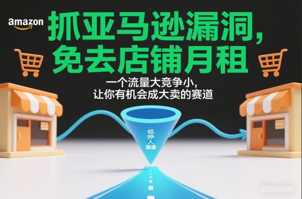 抓亚马逊漏洞,免去店铺月租,一个流量大竞争小,让你有机会成大卖的赛道-副业网