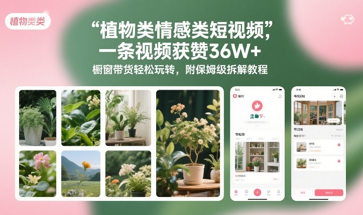 植物类情感类短视频,一条视频获赞36W+,橱窗带货轻松玩转,附保姆级拆解教程-副业网