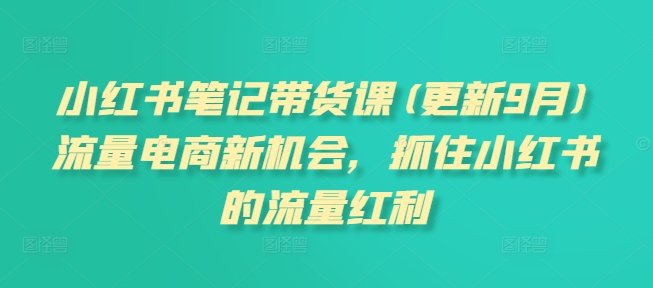 小红书笔记带货课,流量电商新机会,抓住小红书的流量红利(更新26年2月)-副业网