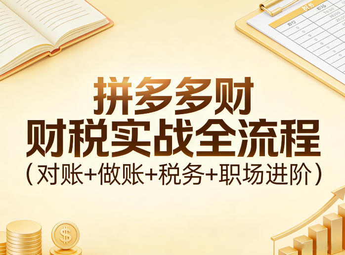 拼多多财税实战全流程(对账+做账+税务+职场进阶)-副业网