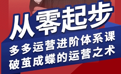 拼多多运营进阶系统课,从零起步,多多运营进阶体系课,破茧成蝶的运营之术(更新26年4月)-副业网