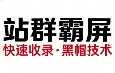 SEO野路子实战全集:快速收录、站群霸屏、黑帽技术-副业网