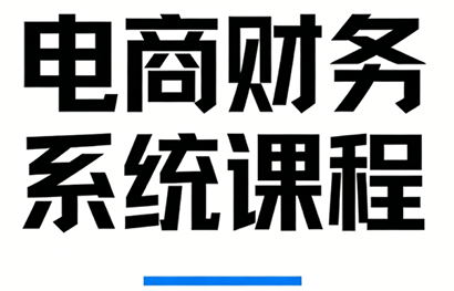郑老师·电商财务系统课程-副业网