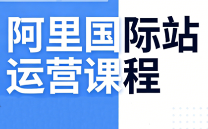 张国儒·阿里国际站运营课程(更新2026)-副业网