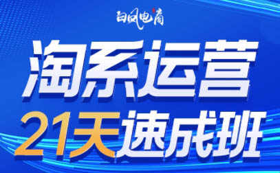 白凤电商·淘系运营21天速成班(更新2月)-副业网