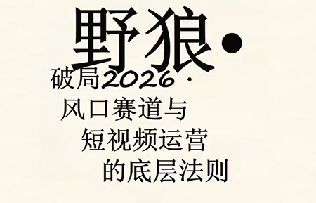 野狼团队·多平台实操运营课(更新4月)-副业网