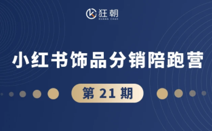 盗坤·抖音小红书视频号短视频带货与直播变现(11-21期)-副业网