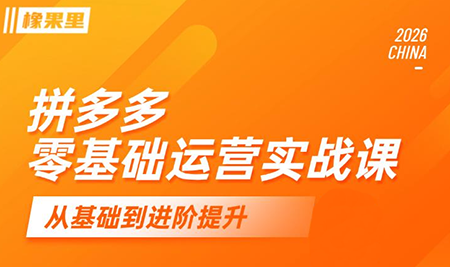 仙道电商·拼多多零基础运营实战课-副业网