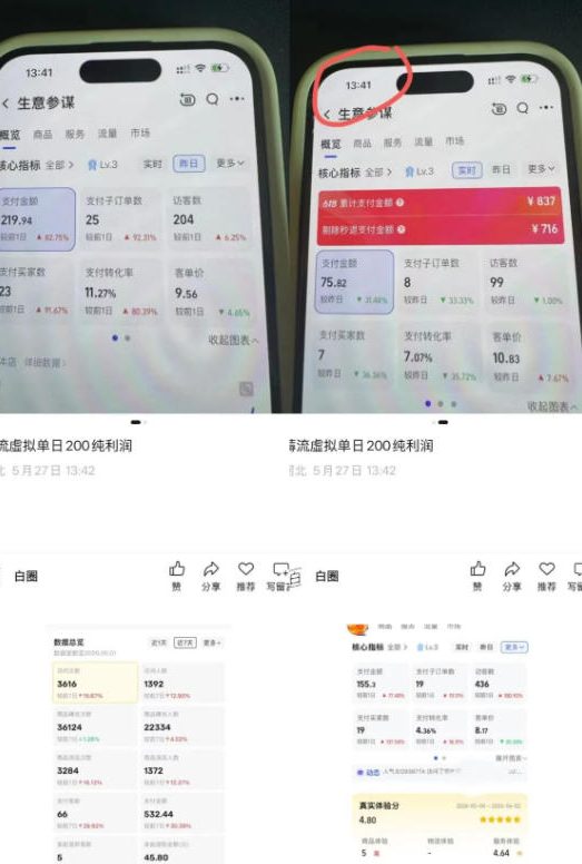 图片[2]-薅流虚拟2.0陪跑课，0成本AI流程化操作，淘宝+闲鱼同步玩法，上一次货两个平台有收益，单店每天200纯利润-副业网