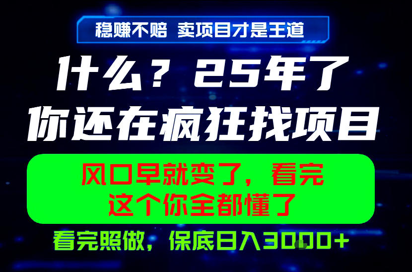 26年,请不要疯狂的找项目做了!卖项目才是真的稳賺不赔,看完照做,保底日入1k+【揭秘】-副业网