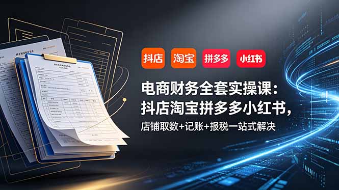 电商财务全套实操课:抖店淘宝拼多多小红书,店铺取数+记账+报税一站式解决-副业网