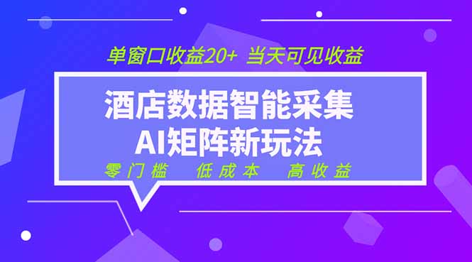 2026酒店数据采集ai智能矩阵新风口  低成本   高收益   当天见收益   单窗口20+-副业网