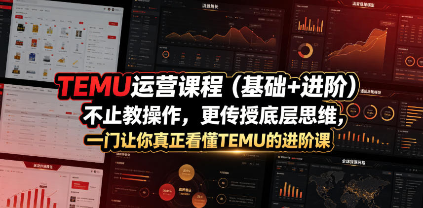 TEMU运营课程(基础+进阶)，不止教操作，更传授底层思维，一门让你真正看懂TEMU的进阶课-副业网