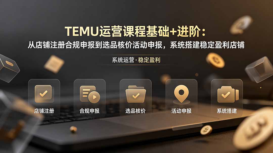 TEMU运营课程(基础+进阶-副业网
