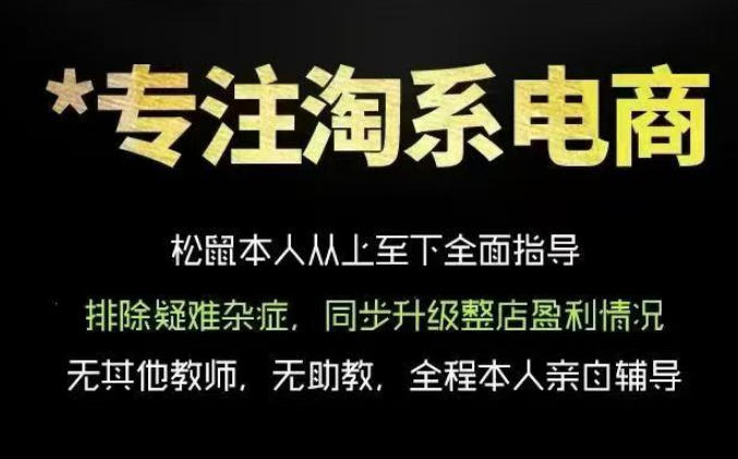 松鼠会电商VIP课程，从基础布局到高阶优化，助你掌握淘宝运营逻辑，提升店铺流量与转化(更新0703)-副业网