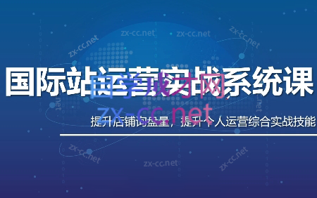 白老师·国际站运营实战系统(高质量询盘增长课)(更新)-副业网