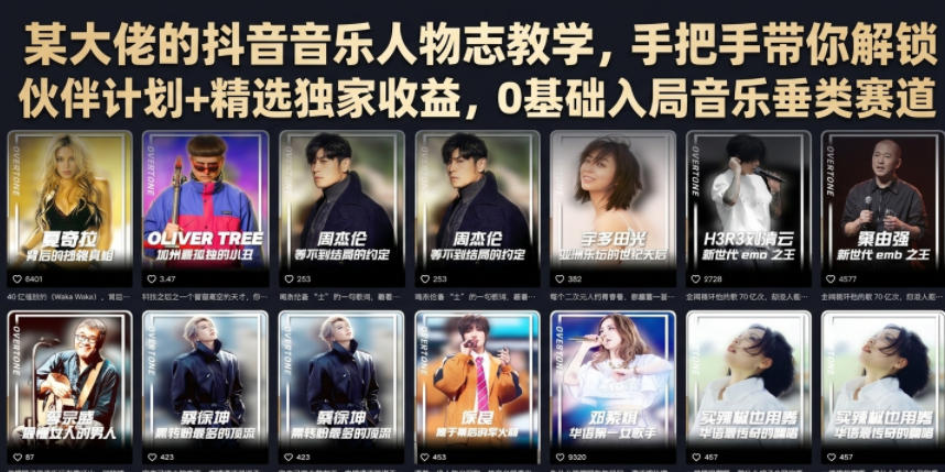 某大佬的抖音音乐人物志教学，手把手带你解锁伙伴计划+精选独家收益，0基础入局音乐垂类赛道-副业网