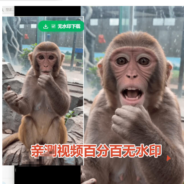 图片[2]-豆包无水印下载终于来了！支持豆包图片/视频，目前唯一免费使用的插件，浏览器拓展-副业网