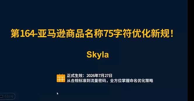 图片[2]-亚马逊跨境实战课：全品类选品逻辑｜SP/SB/SD广告精细化｜新品打爆旺季爆单全套运营教程-副业网