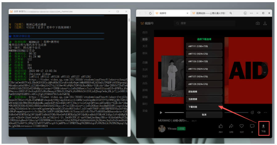 图片[4]-Github热门工具，视频号下载神器又来了！一键注入下载按钮，轻松下载，使用便捷wx_channel-副业网