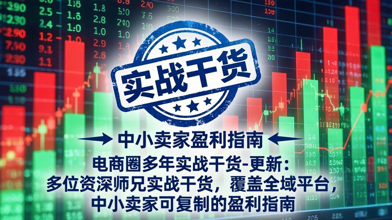 电商圈多年实战干货-更新2026:多位资深师兄实战干货/覆盖全域平台,中小卖家可复制的盈利指南-副业网