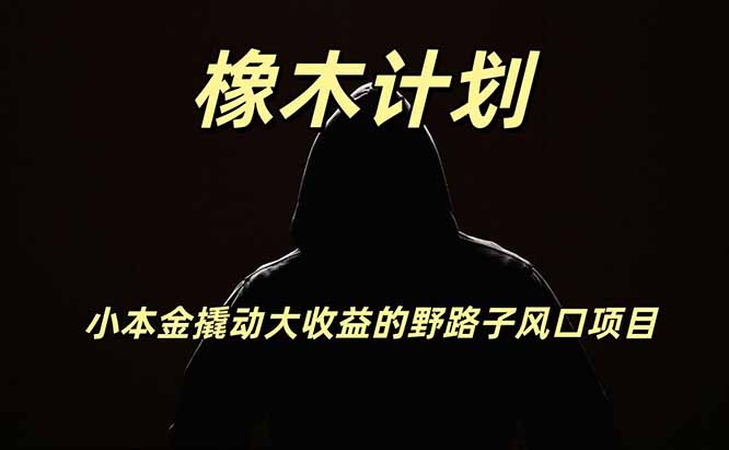 橡木计划,小投入撬动高回报的风口野路子项目,一天投入2小时左右-副业网