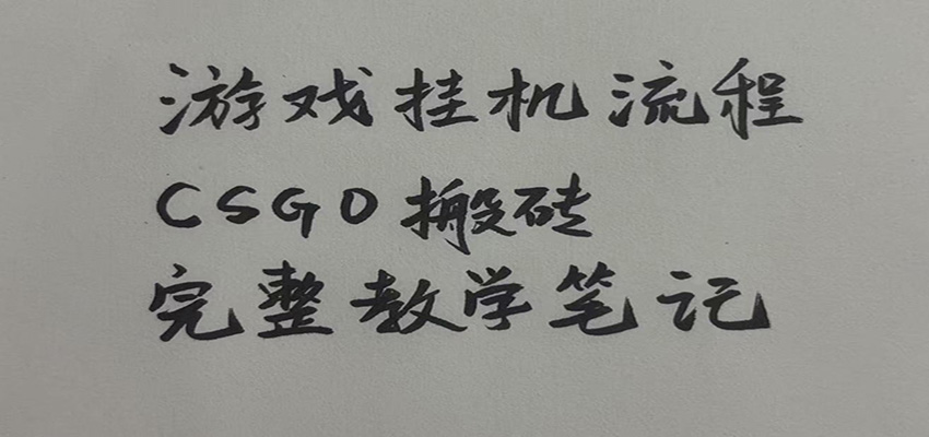 游戏挂机全流程笔记分享,CSGO游戏搬砖,小白看了当天学会见收益-副业网
