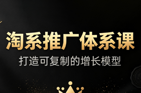 大山·淘系推广体系课-副业网
