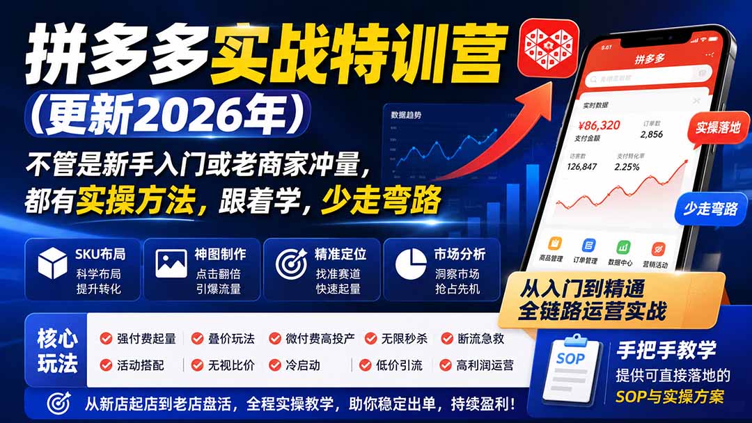 拼多多实战特训营(更新26年0821-副业网