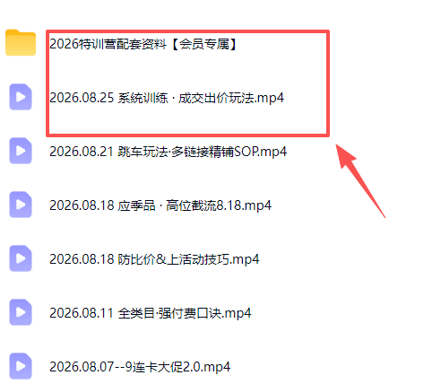 图片[3]-拼多多实战特训营(更新26年0827-副业网