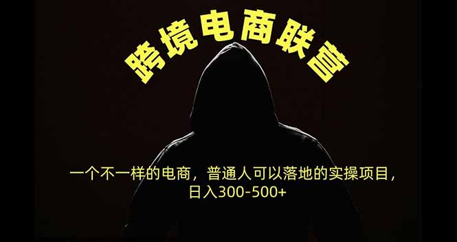 跨境电商联营,一个不一样的电商,普通人可操作日入300-500+-副业网