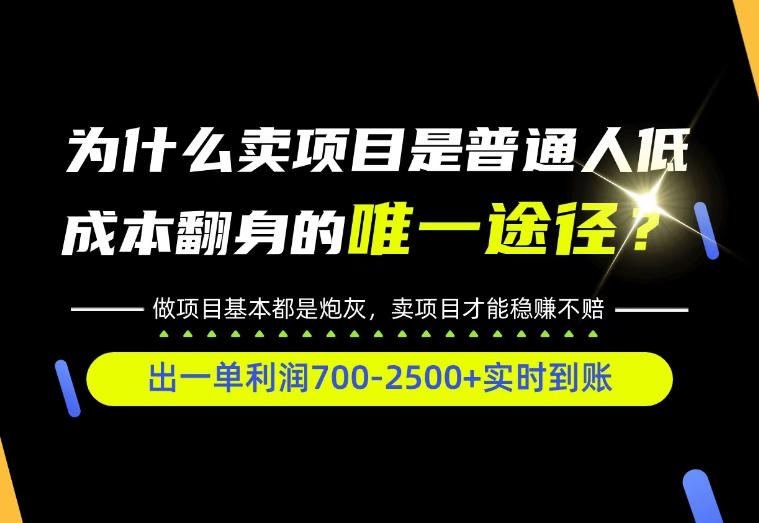 普通人如何靠互联网賺取自己的第一桶金!全类目实操型教学,看完你全都懂了!【揭秘】-副业网