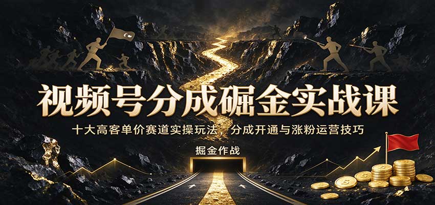 视频号分成掘金实战课:十大高客单价赛道实操玩法,分成开通与涨粉运营技巧-副业网