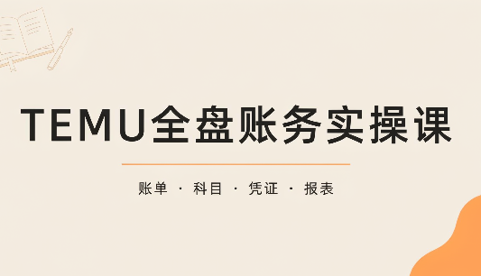 TEMU全盘账务实操课:账单导出、科目设置、利润核算-副业网