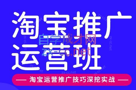 美迪电商·淘宝高级运营班+推广运营班(更新10月)-副业网