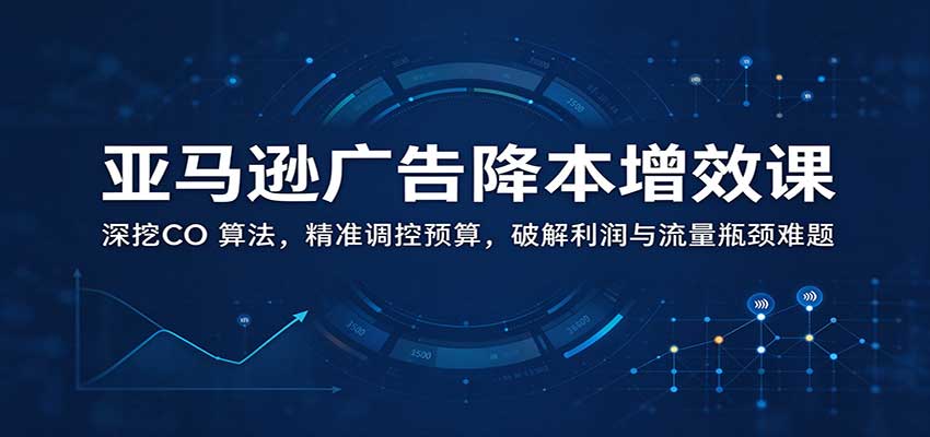 亚马逊广告降本增效课：深挖CO 算法，精准调控预算，破解利润与流量瓶颈难题-副业网