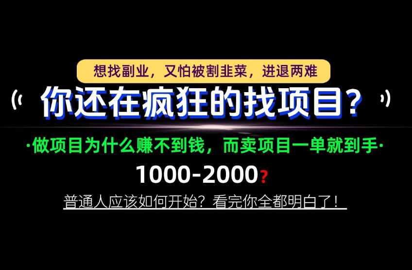 你还在疯狂的找项目？别傻了！卖项目才是真正的一本万利！怎么做，看完你全都明白！【揭秘】-副业网